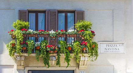 Image showing Balcuny in Piazza Navona, Rome