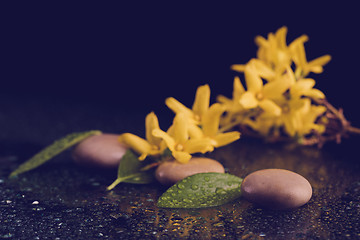 Image showing pebbles and yellow flower on black with water drops