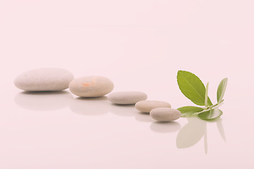 Image showing zen stones and green leaf