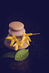 Image showing balancing zen stones on black with yellow flower