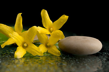 Image showing pebbles and yellow flower on black with water drops