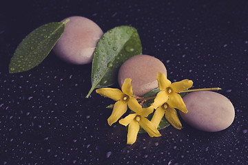 Image showing pebbles and yellow flower on black with water drops