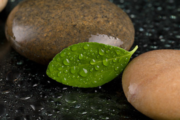 Image showing zen stones on black with water drops