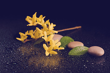 Image showing pebbles and yellow flower on black with water drops