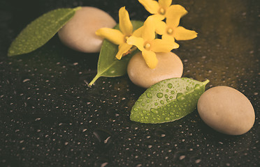 Image showing pebbles and yellow flower on black with water drops