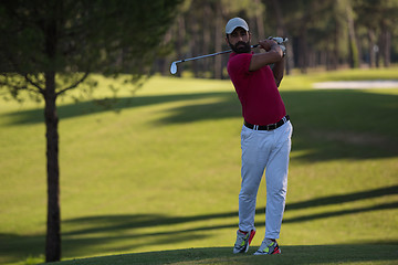 Image showing golf player hitting long shot