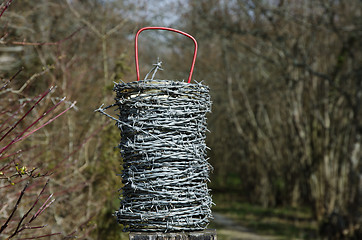 Image showing Barb wire roll with a natural background