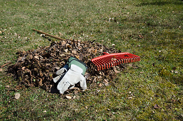 Image showing Heap of dry leaves at a break in the garden