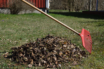 Image showing Rake and a heap of dry leaves in a garden