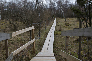 Image showing Wooden footpath in a nordic landscape