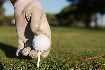 Image showing close up of golf players hand placing ball on tee