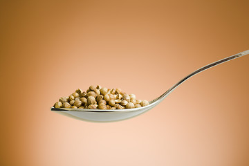 Image showing Spoon filled with coriander seeds