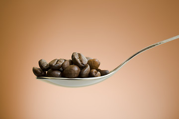 Image showing spoon filled with coffee beans