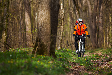 Image showing Mountain Bike cyclist riding single track