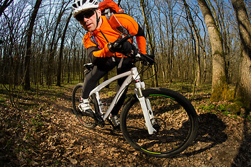 Image showing Cyclist Riding the Bike