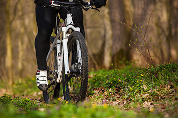 Image showing Mountain Bike cyclist riding single track