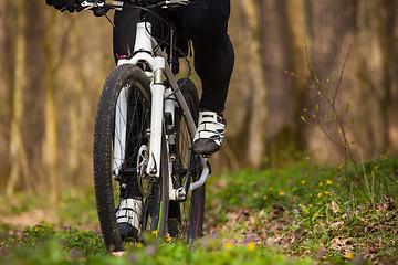 Image showing Mountain Bike cyclist riding single track