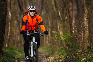 Image showing Mountain Bike cyclist riding single track