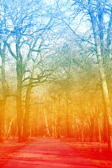 Image showing Beautiful spring forest with