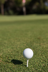 Image showing golf ball on tee