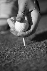 Image showing golf player placing ball on tee