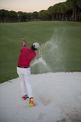 Image showing golfer hitting a sand bunker shot on sunset