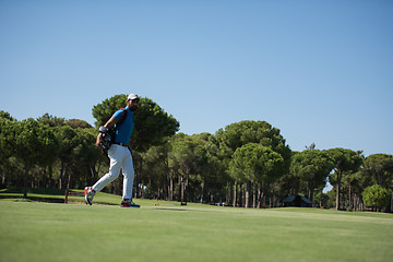 Image showing golf player walking and carrying bag