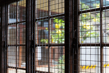 Image showing close up of window with metal grate