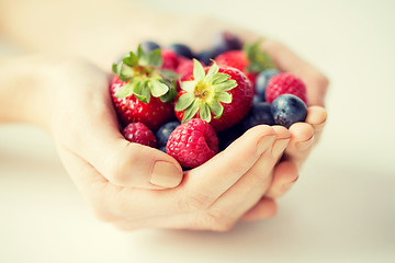 Image showing close up of woman hands holding berries