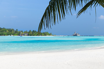 Image showing maldives island beach with palm tree and villa