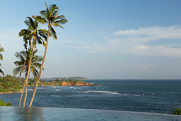 Image showing view from infinity edge pool to ocean and palms