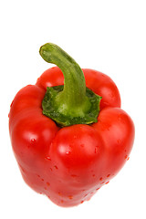 Image showing Red pepper close-up