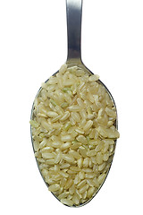 Image showing Spoonful of short grain rice

