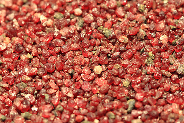 Image showing red pyrope minerals (garnet)