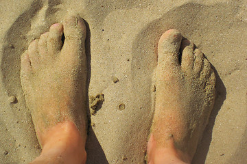 Image showing man legs in the sand