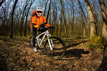 Image showing Cyclist Riding the Bike