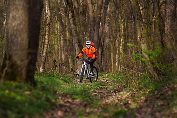 Image showing Mountain Bike cyclist riding single track