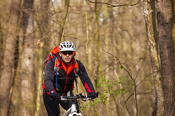 Image showing Mountain Bike cyclist riding single track