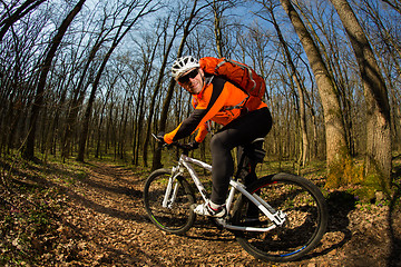 Image showing Cyclist Riding the Bike