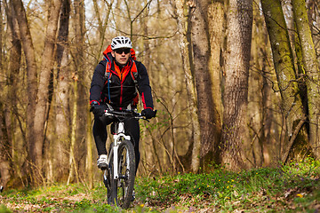 Image showing Mountain Bike cyclist riding single track