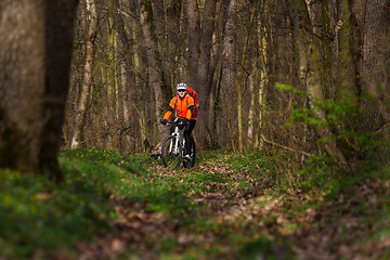 Image showing Mountain Bike cyclist riding single track