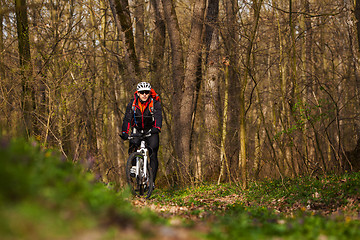 Image showing Mountain Bike cyclist riding single track