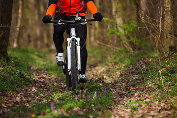 Image showing Mountain Bike cyclist riding single track