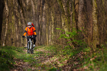 Image showing Mountain Bike cyclist riding single track