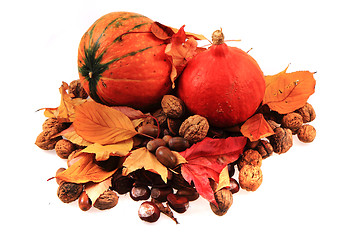 Image showing autumn pumpkins and leaves