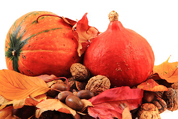 Image showing autumn pumpkins and leaves