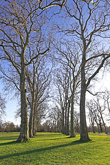 Image showing Winter in Hyde Park