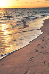 Image showing Footprints on sandy beach at sunrise