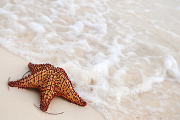 Image showing Starfish and ocean wave