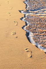 Image showing Tropical beach with footprints